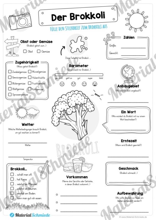 Steckbrief Brokkoli (Vorschau)