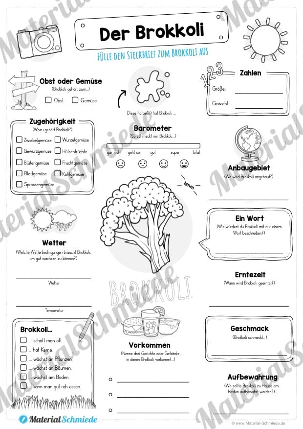 Steckbrief Brokkoli (Vorschau)