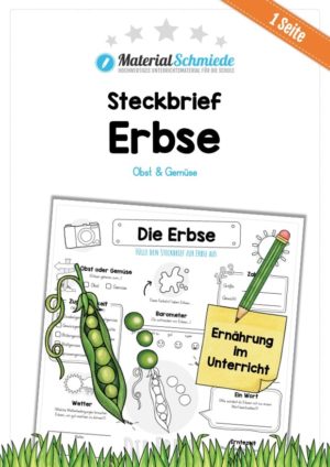 Steckbrief Erbse