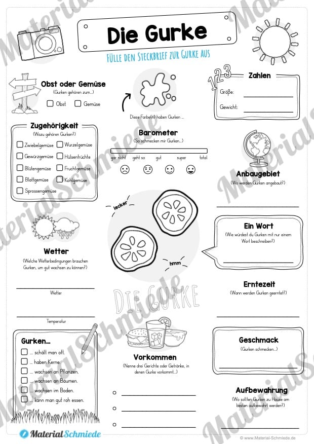 Steckbrief Gurke (Vorschau)