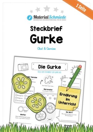 Steckbrief Gurke