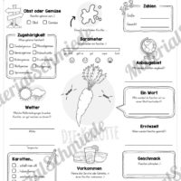Steckbrief Karotte / Wurzel (Vorschau)