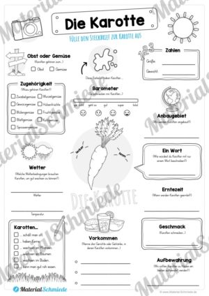 Steckbrief Karotte / Wurzel (Vorschau)