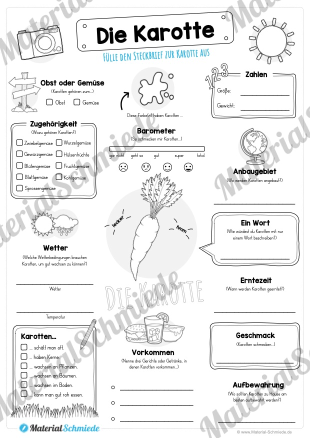 Steckbrief Karotte / Wurzel (Vorschau)