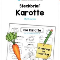 Steckbrief Karotte / Wurzel