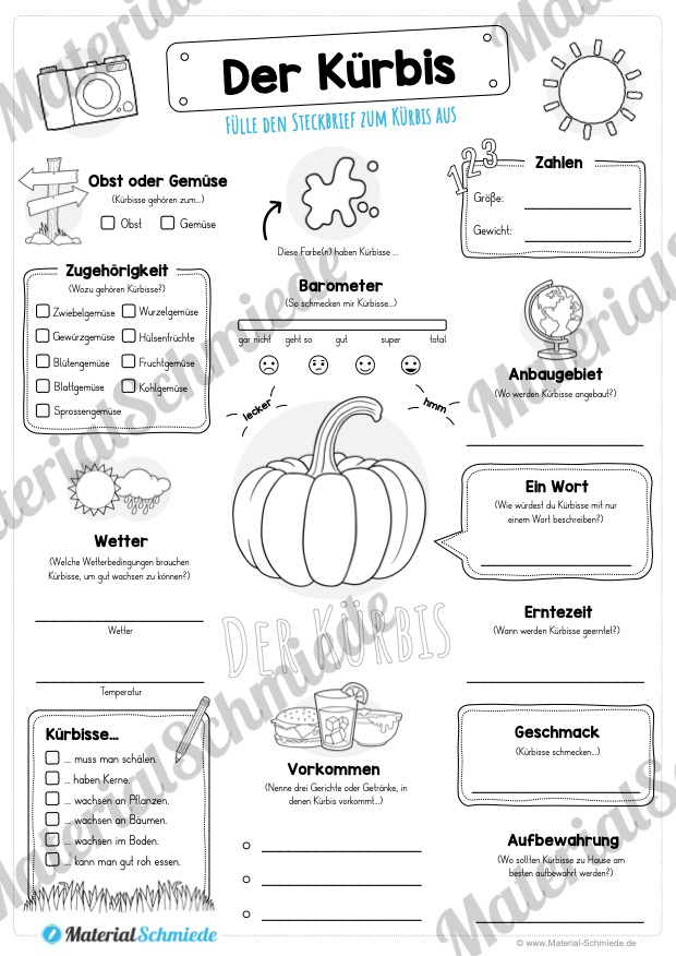 Steckbrief Kürbis (Vorschau)