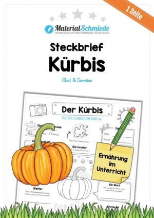 Steckbrief Kürbis