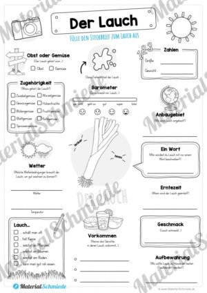 Steckbrief Lauch (Vorschau)