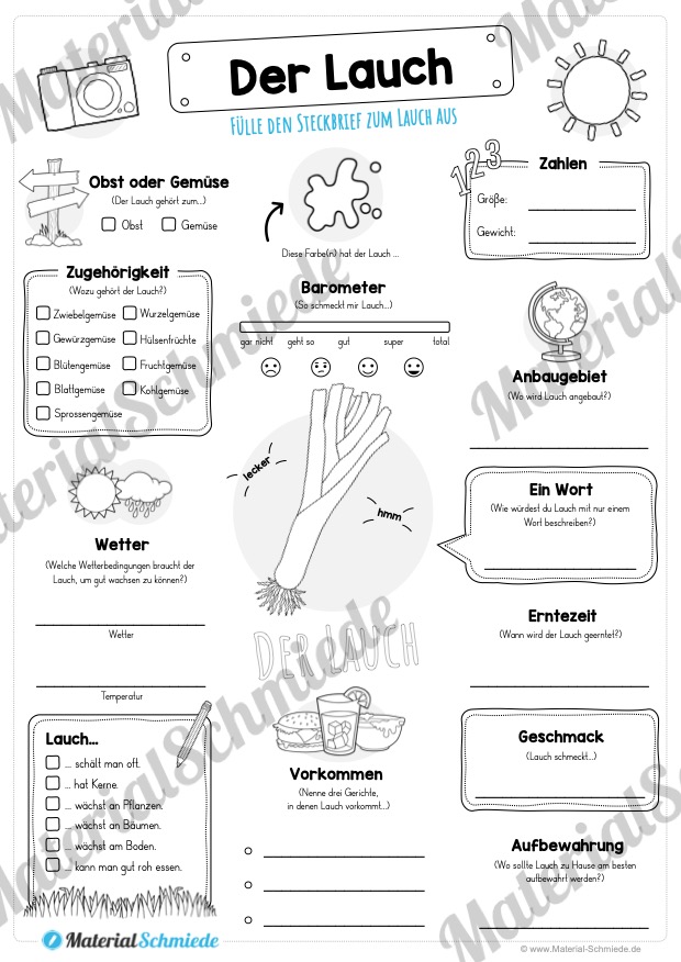 Steckbrief Lauch (Vorschau)