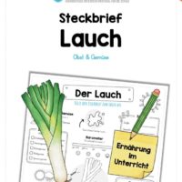 Steckbrief Lauch