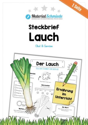 Steckbrief Lauch