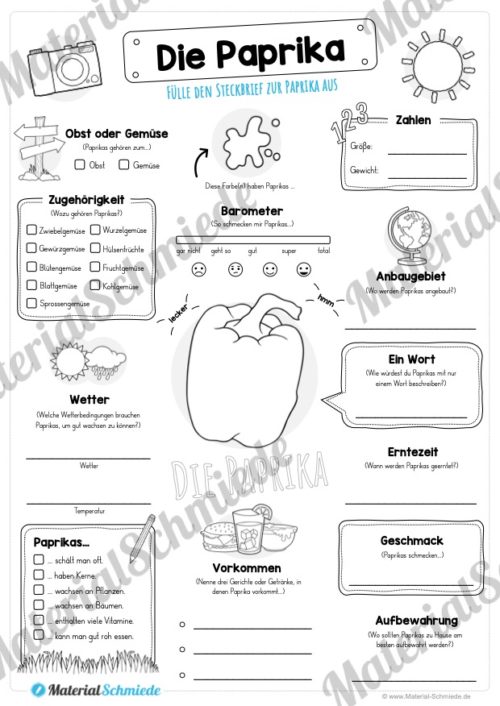 Steckbrief Paprika (Vorschau)