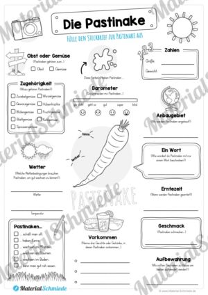 Steckbrief Pastinake (Vorschau)