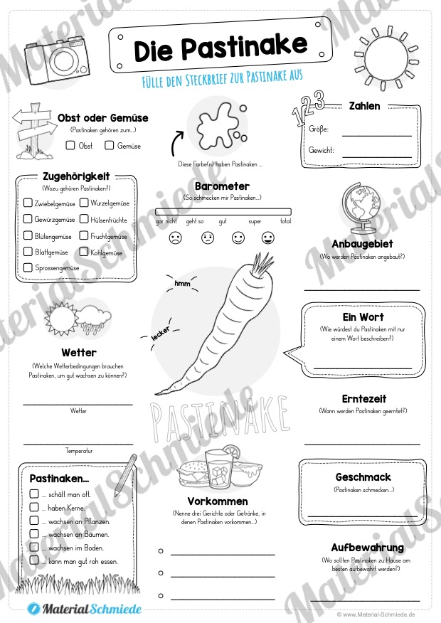 Steckbrief Pastinake (Vorschau)