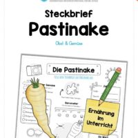 Steckbrief Pastinake