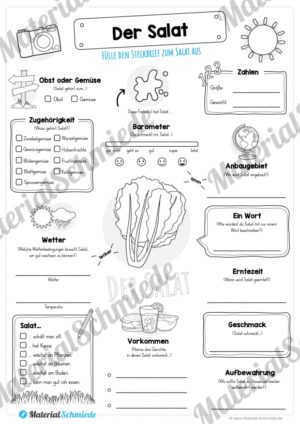 Steckbrief Salat (Vorschau)