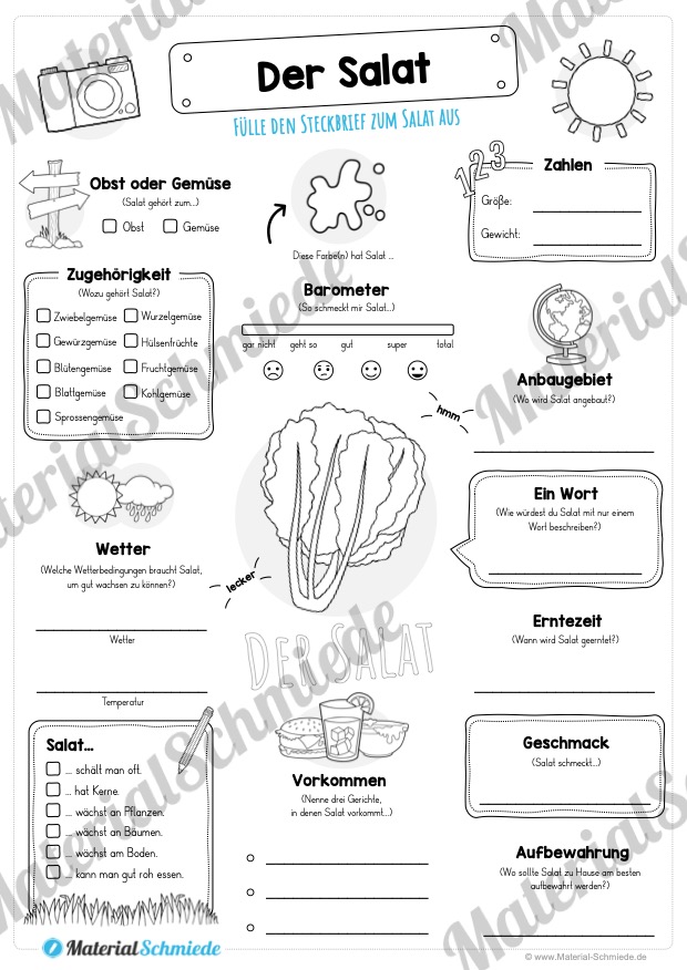 Steckbrief Salat (Vorschau)