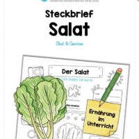 Steckbrief Salat
