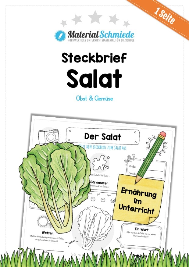 Steckbrief Salat