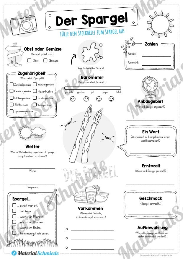 Steckbrief Spargel (Vorschau)