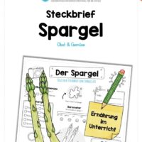 Steckbrief Spargel