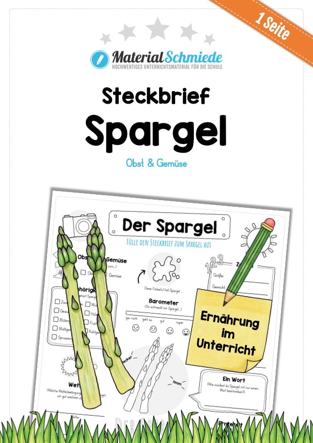 Steckbrief Spargel