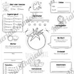 Steckbrief Tomate (Vorschau)