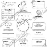 Steckbrief Tomate (Vorschau)