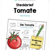 Steckbrief Tomate