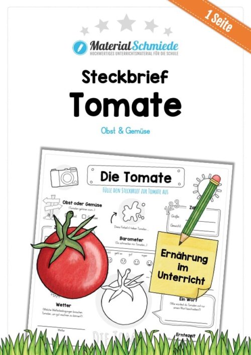 Steckbrief Tomate