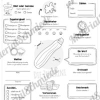 Steckbrief Zucchini (Vorschau)