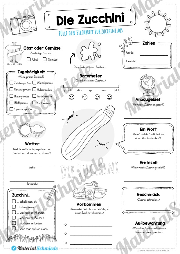 Steckbrief Zucchini (Vorschau)