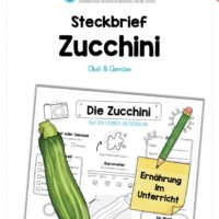 Steckbrief Zucchini