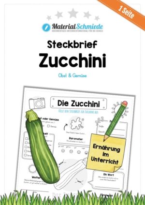 Steckbrief Zucchini