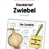 Steckbrief Zwiebel