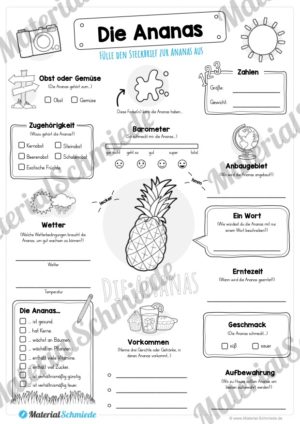 Steckbrief Ananas (Vorschau)