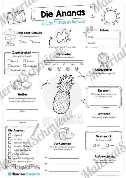 Steckbrief Ananas (Vorschau)