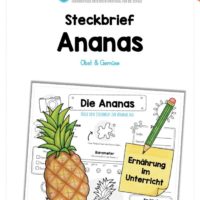 Steckbrief Ananas
