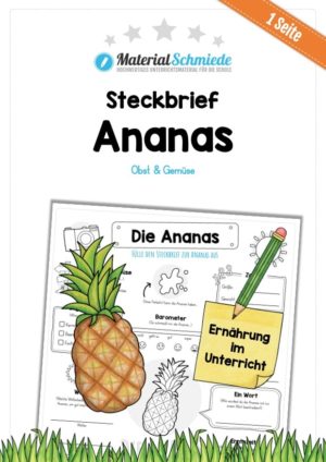 Steckbrief Ananas