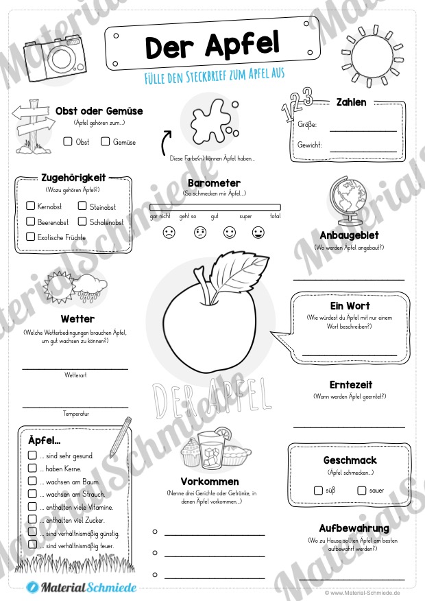 Steckbrief Apfel (Vorschau)