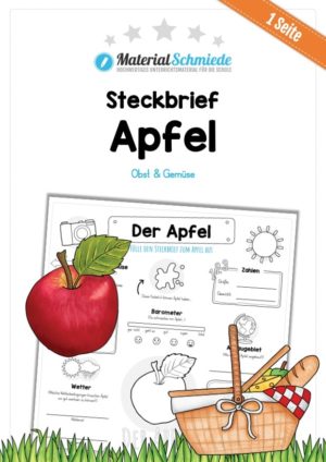 Steckbrief Apfel