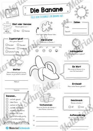 Steckbrief Banane (Vorschau)