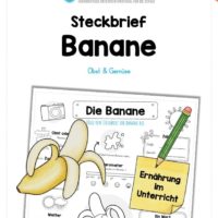 Steckbrief Banane
