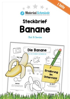 Steckbrief Banane