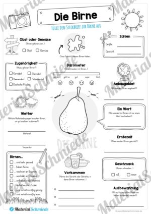 Steckbrief Birne (Vorschau)