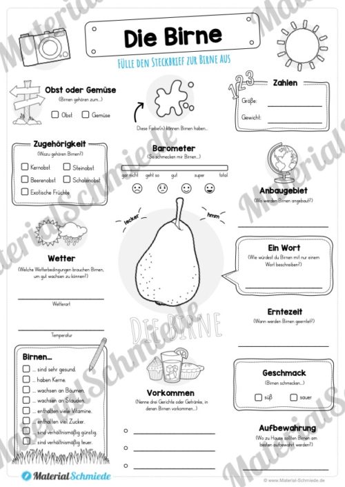 Steckbrief Birne (Vorschau)