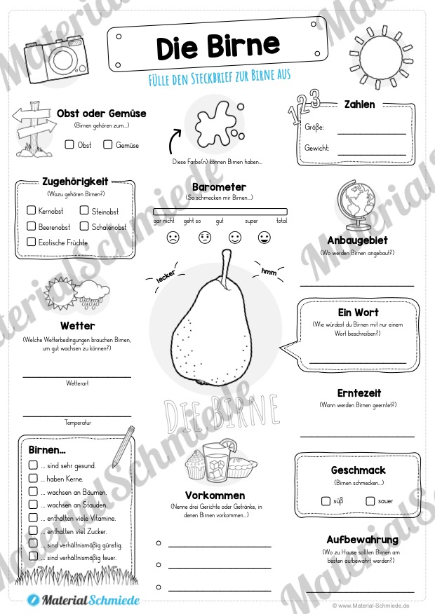 Steckbrief Birne (Vorschau)