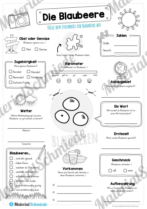 Steckbrief Blaubeere (Vorschau)