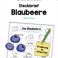 Steckbrief Blaubeere