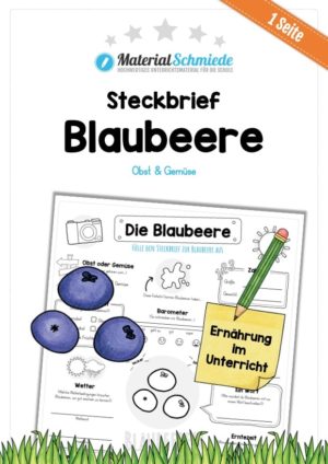 Steckbrief Blaubeere